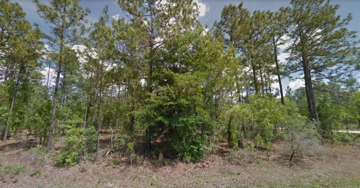 135th Terrace Rd., Ocala, FL 34481