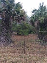 406 Leona St., Port Charlotte, FL 33954