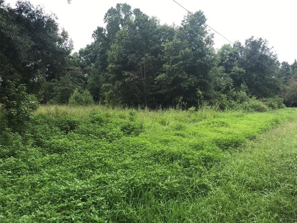 L8 Patrick St., Brooksville, FL 34601