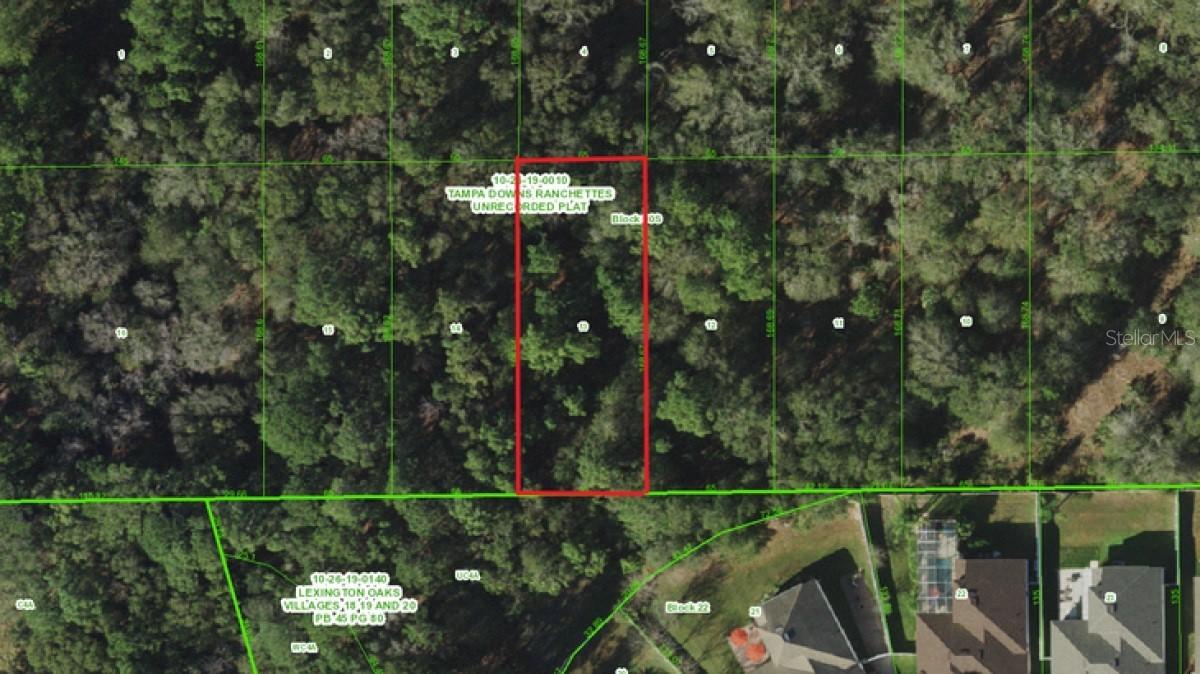 Unnasigned, Wesley Chapel, FL 33544