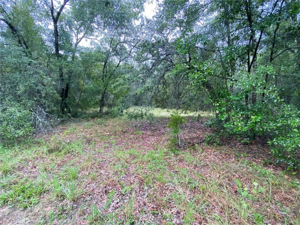 3354 N Carolwood Point, Hernando, FL 34442