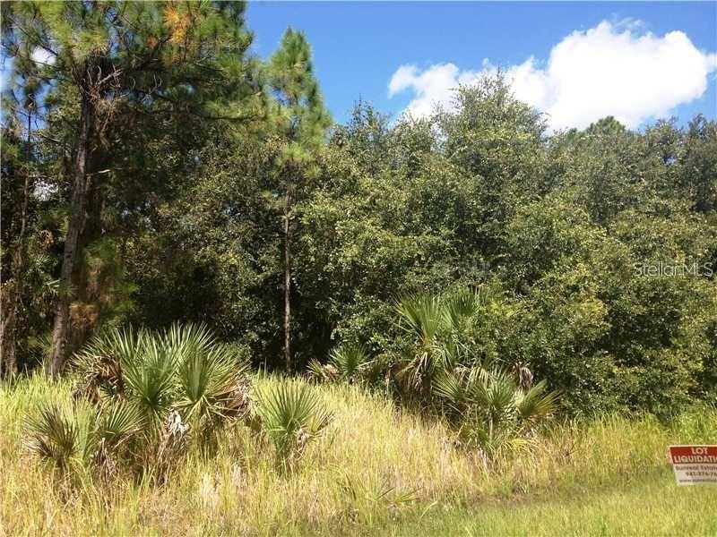 Crimsonglory Rd., North Port, FL 34288