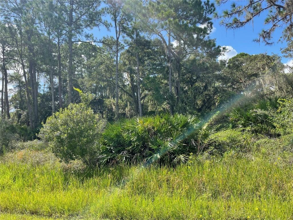 13431 & 13439 Chamberlain Blvd., Port Charlotte, FL 33953