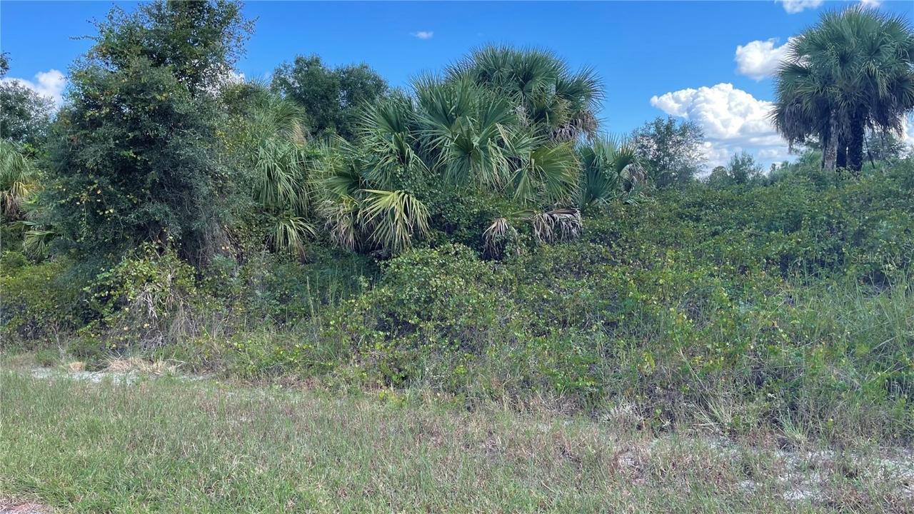 Winterville Cir., North Port, FL 34288