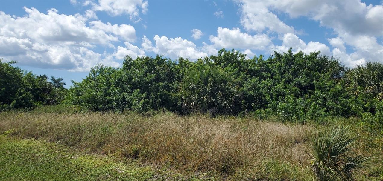 14378 Aurella Cir., Port Charlotte, FL 33981