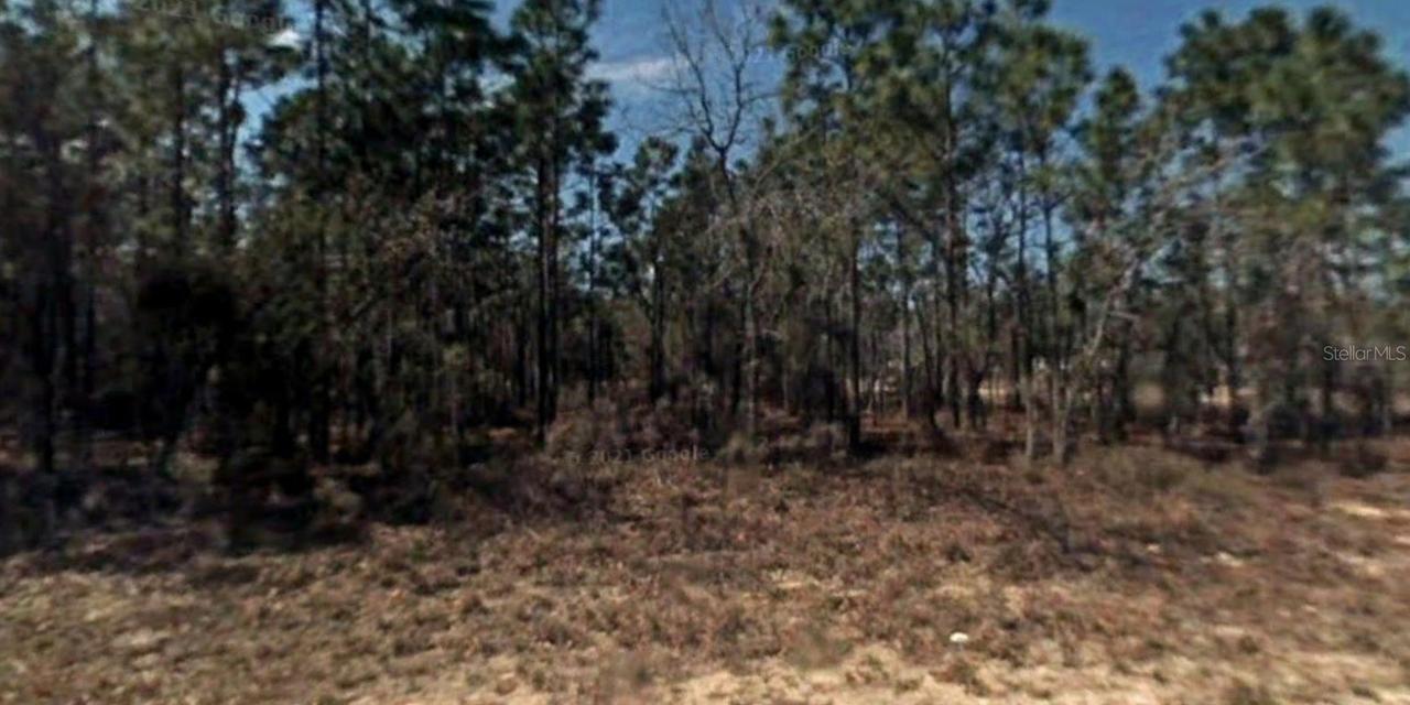 Lot 12 SW 78th Cir., Ocala, FL 34473