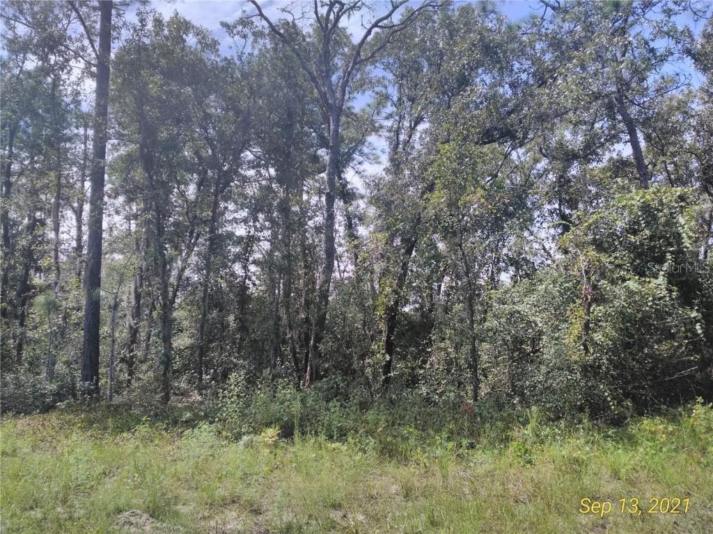 SW 59th Ave Rd Lot 5, Ocala, FL 34473