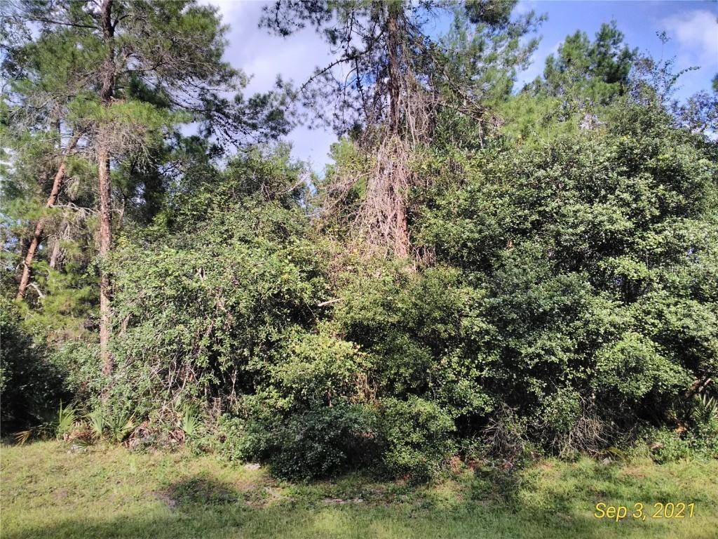 SW 154th Loop Lot 17, Ocala, FL 34473