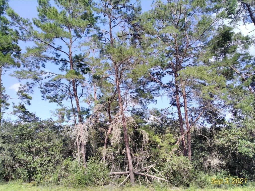 SW 50th Terr Rd Lot 13, Ocala, FL 34473