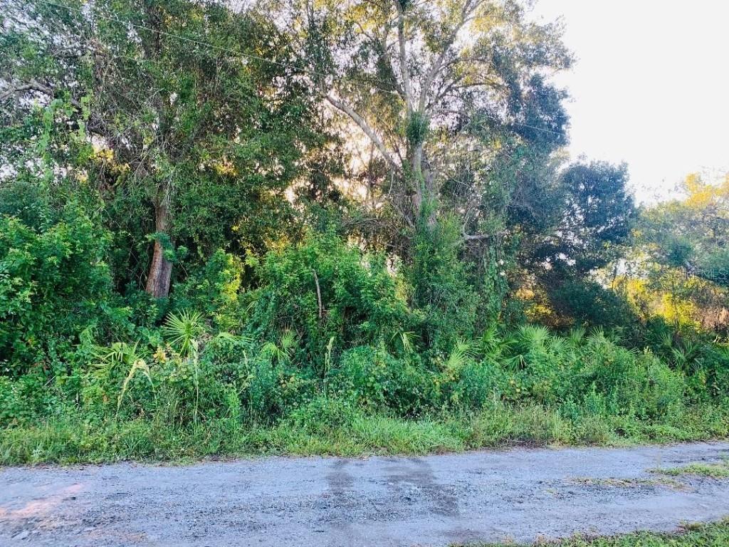 E Charles St., Arcadia, FL 34266