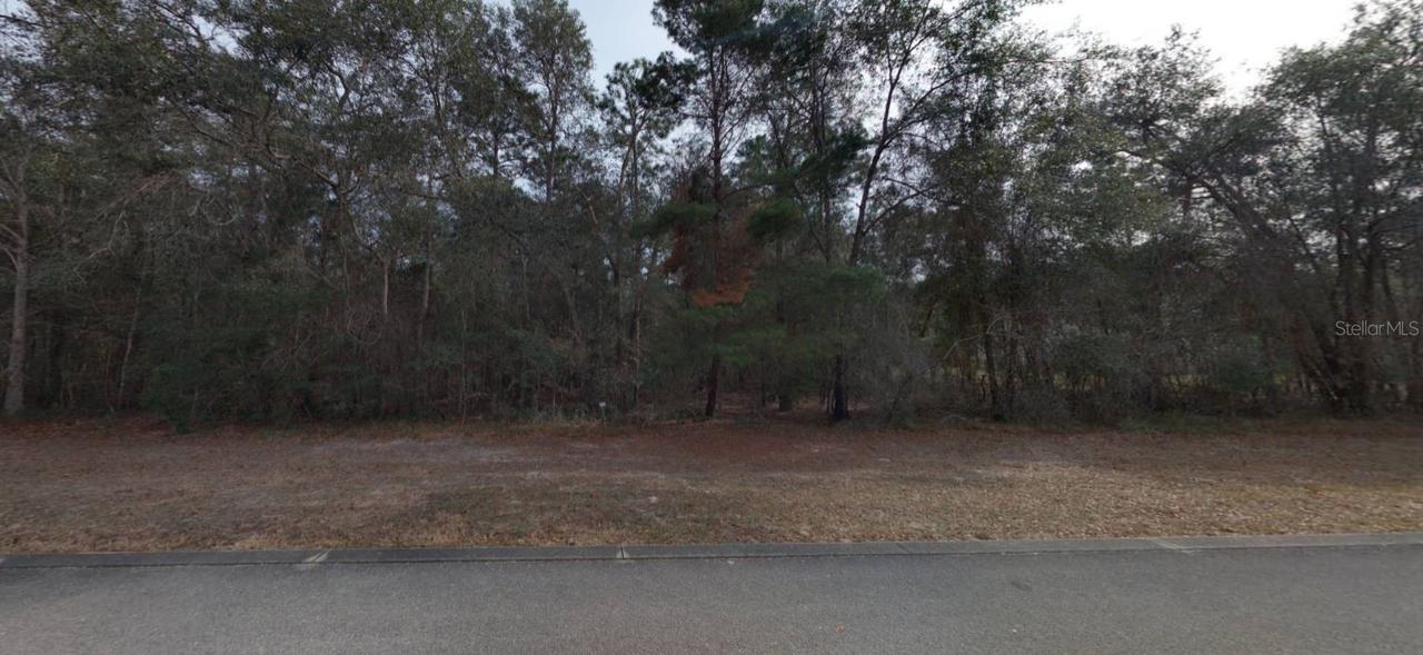 141 Dancing Horse Dr., Hastings, FL 32145