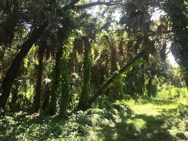 23313 Lana Dr., Port Charlotte, FL 33980