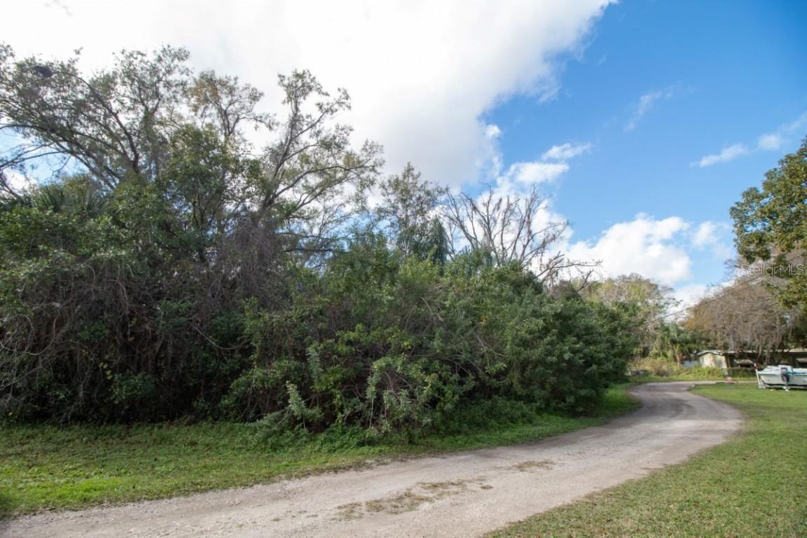 1932 Andrews Loop, Lutz, FL 33558