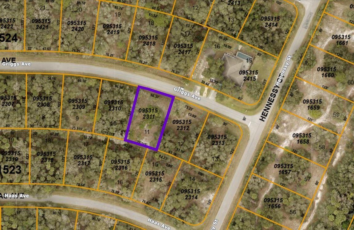 0953152311 Griggs Ave., North Port, FL 34291