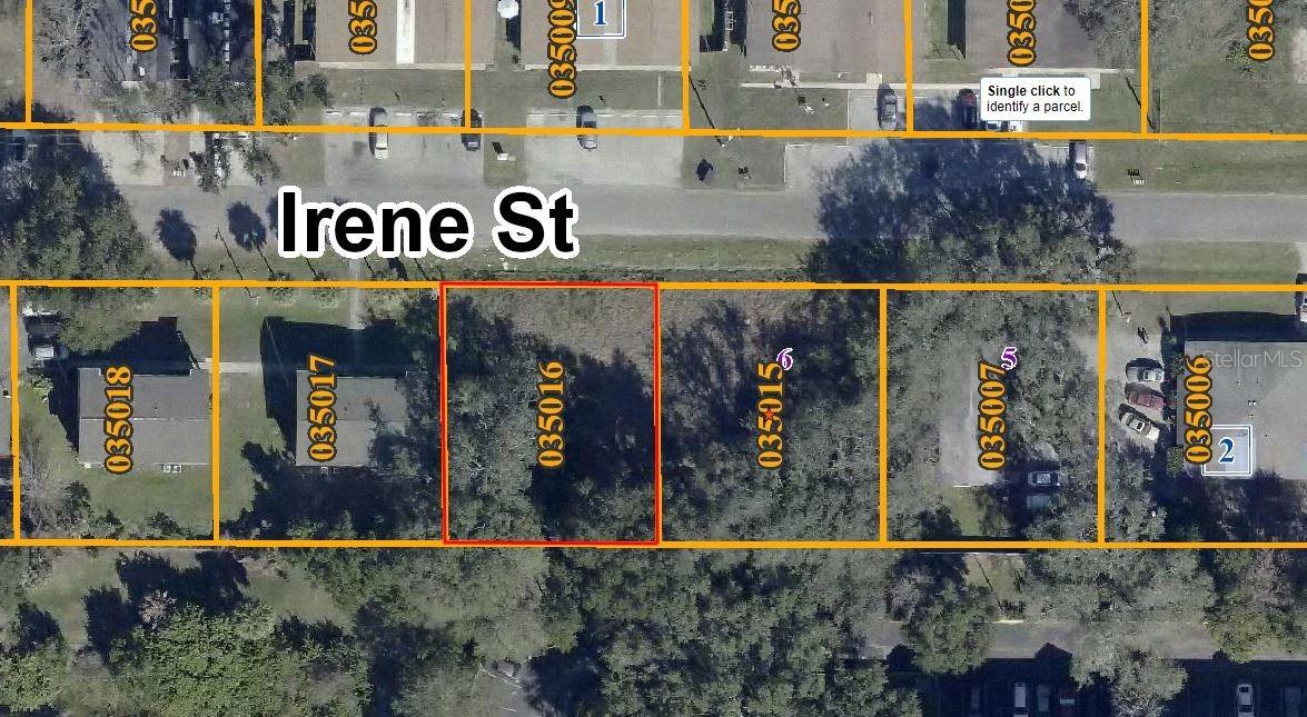 2409 Irene St., Lutz, FL 33549