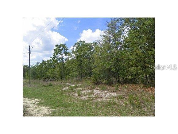 Sw 168th Ct., Ocala, FL 34481