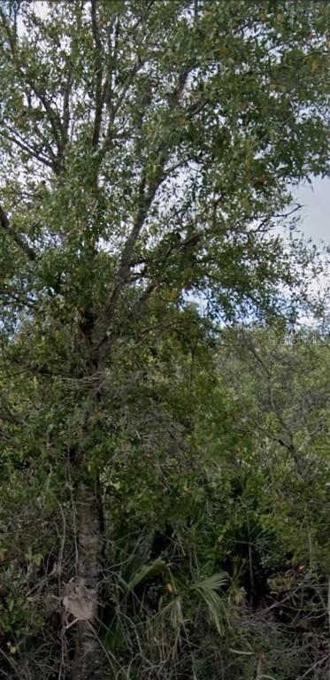 6217 Bixel Ln., Englewood, FL 34224