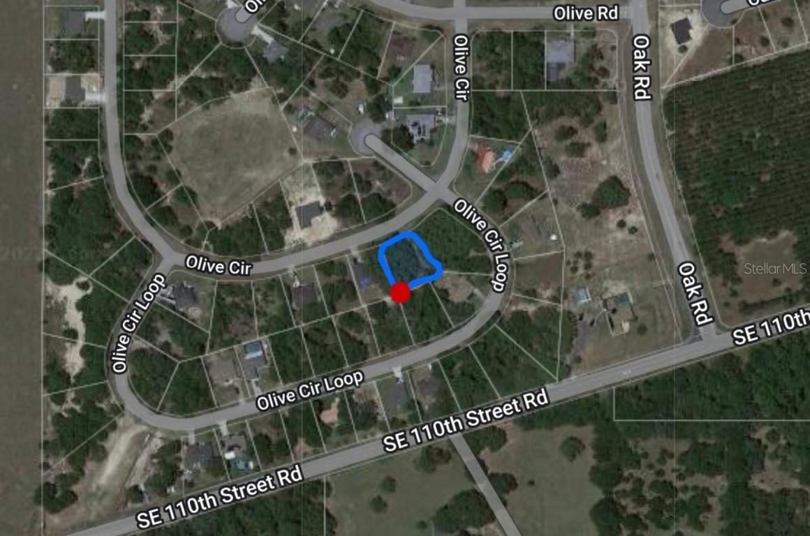 00 Olive Circle Loop, Ocala, FL 34472