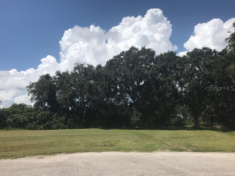 1663 SE Honeybell Ln., Arcadia, FL 34266