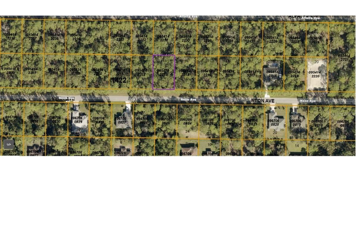 Neon Ave., North Port, FL 34291