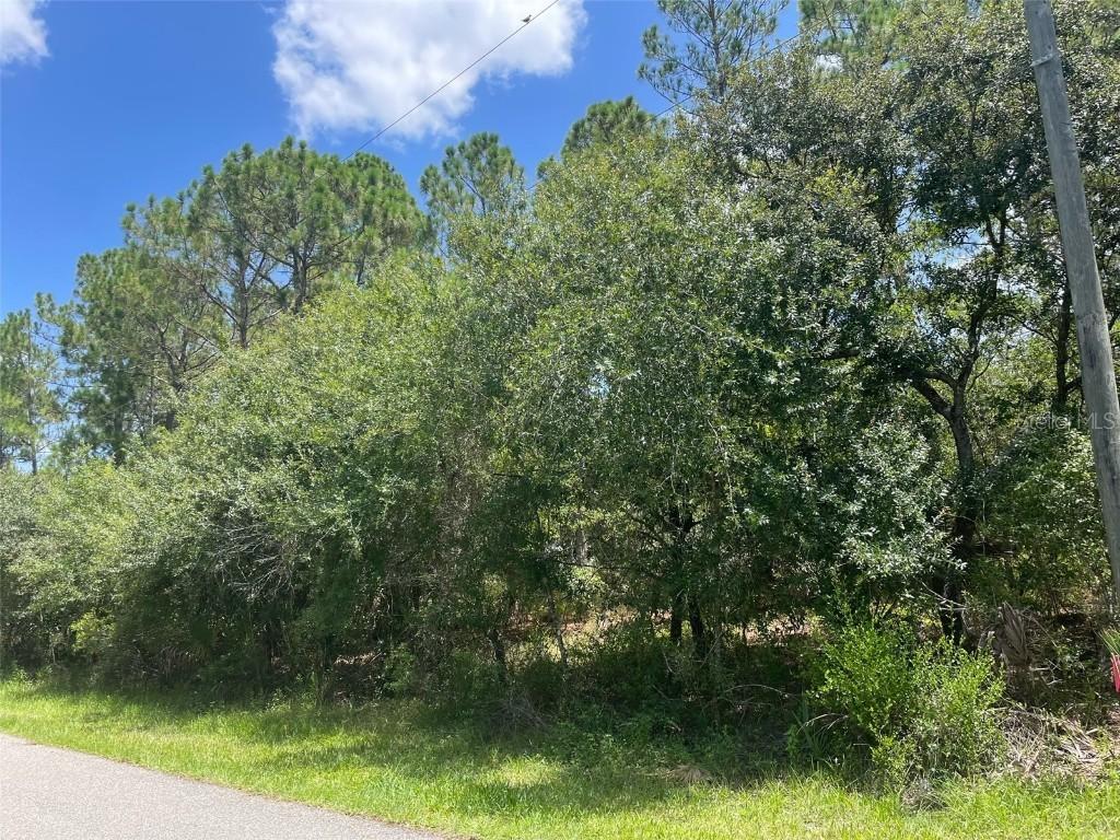 Gainsboro St., North Port, FL 34291