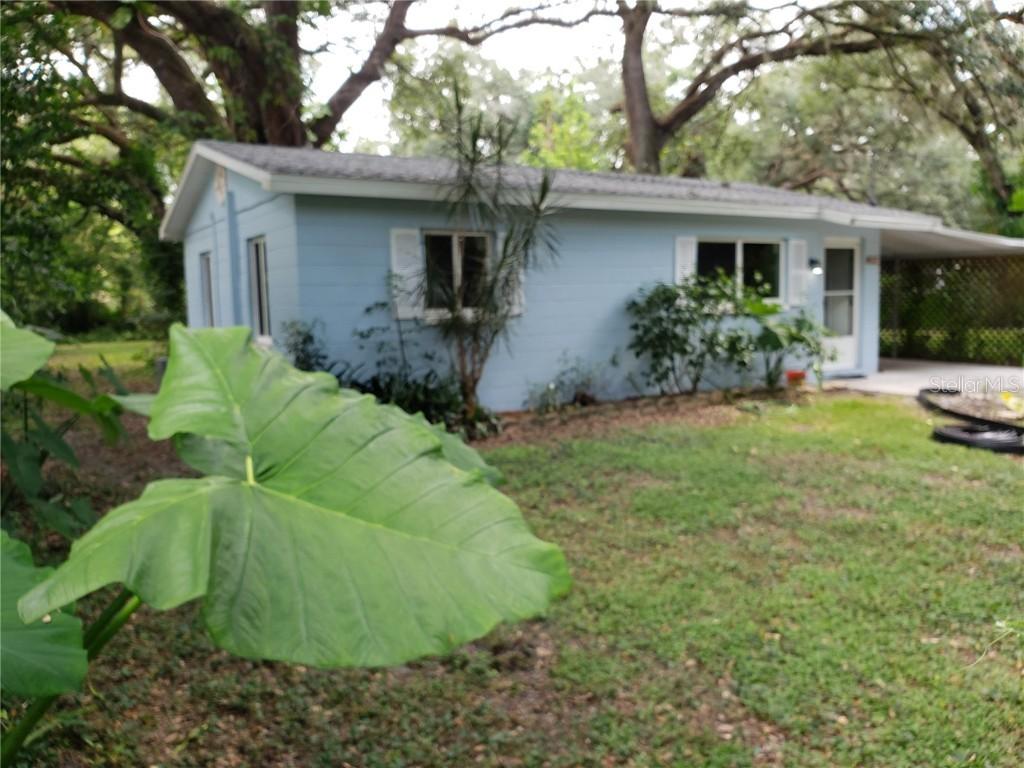 2920 Irene St., Lutz, FL 33559