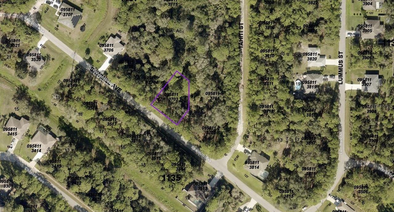 Lot 3 Sawmill Ave., North Port, FL 34286