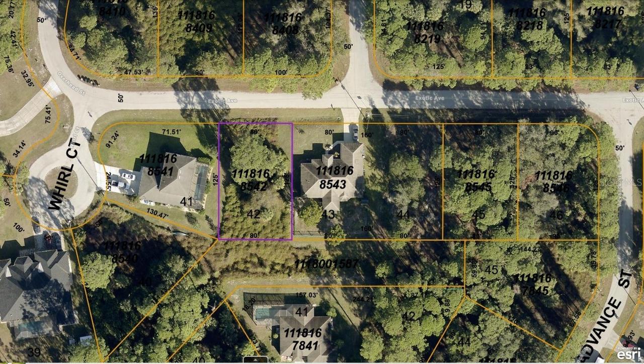 1118168542 Exotic Ave., North Port, FL 34288