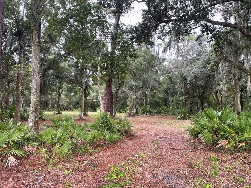 SE Townsend Rd., Arcadia, FL 34266