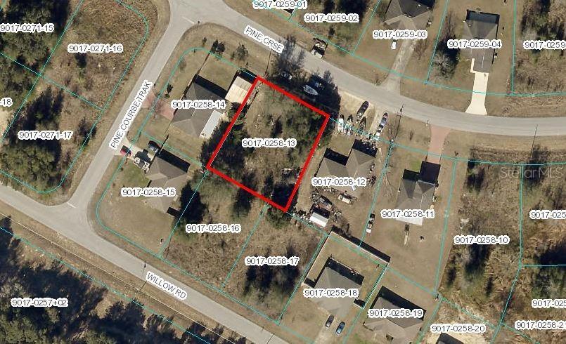 Pine Course, Ocala, FL 34472