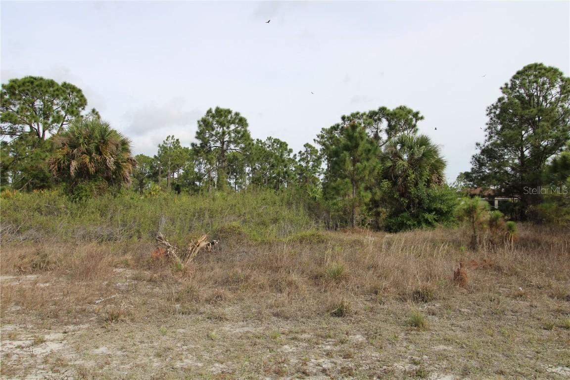 1051 Dearborn St., Lehigh Acres, FL 33974