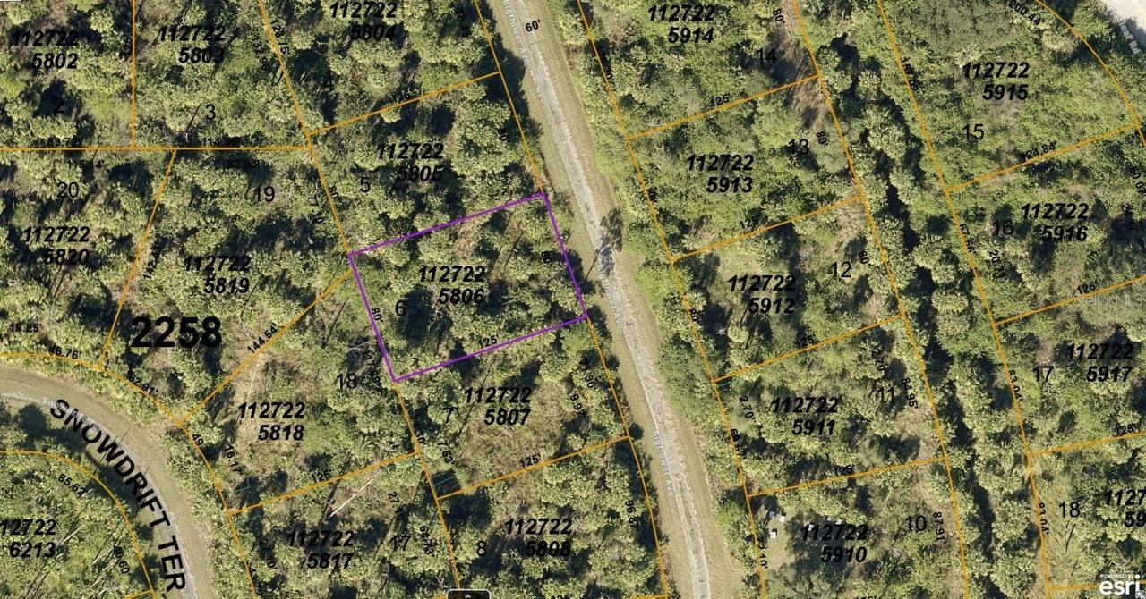 1127225806 Bigflower Ave., North Port, FL 34288