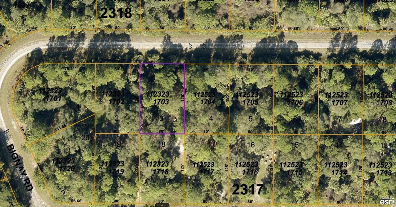 1123231703 Bignay Rd., North Port, FL 34288