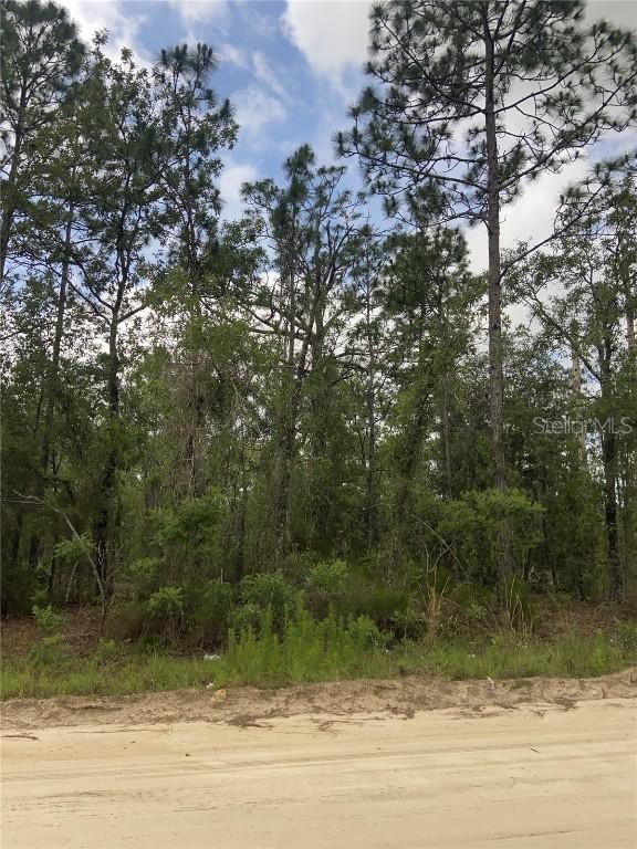 TBD NE 12th St., Williston, FL 32696