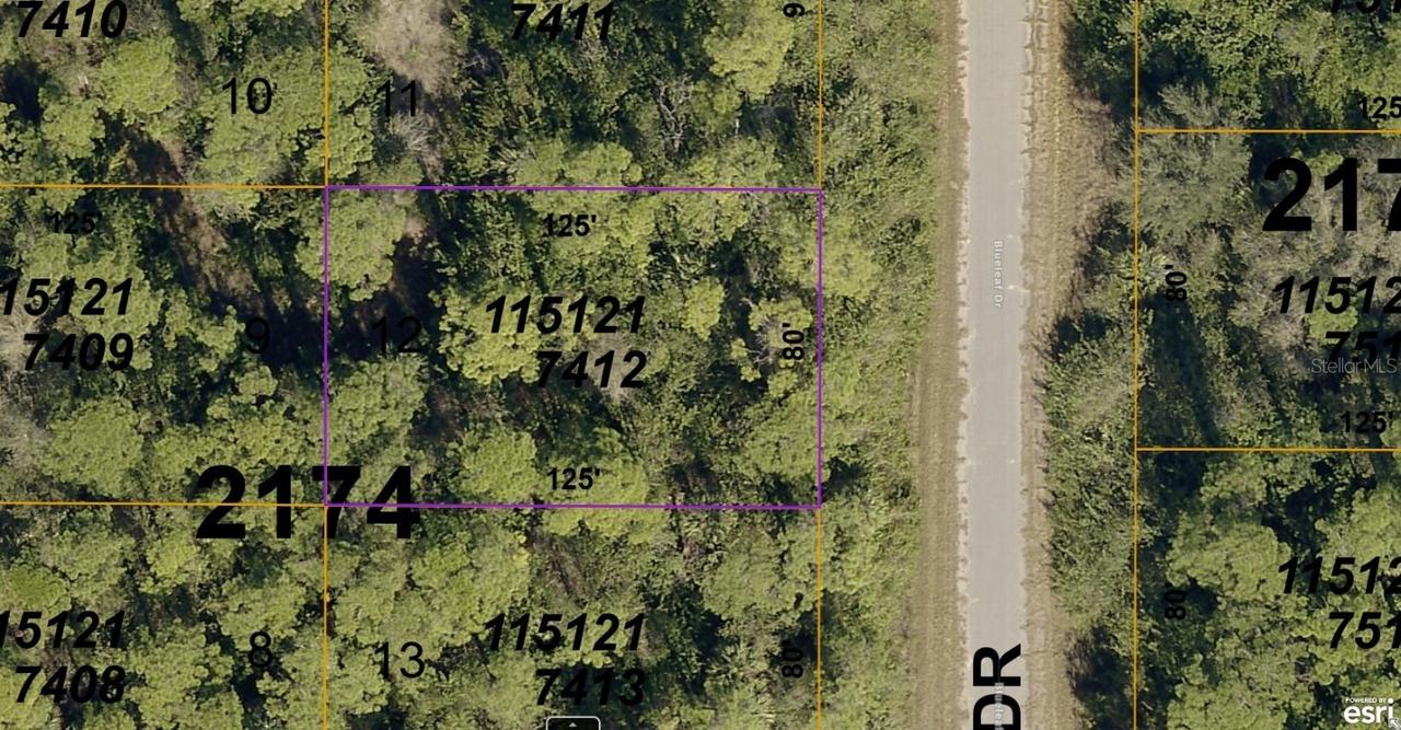 1151217412 Blueleaf Dr., North Port, FL 34288