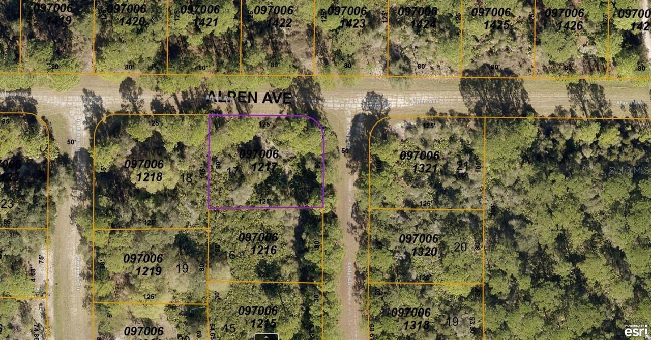 0970-06-1217 Alpen Ave., North Port, FL 34291