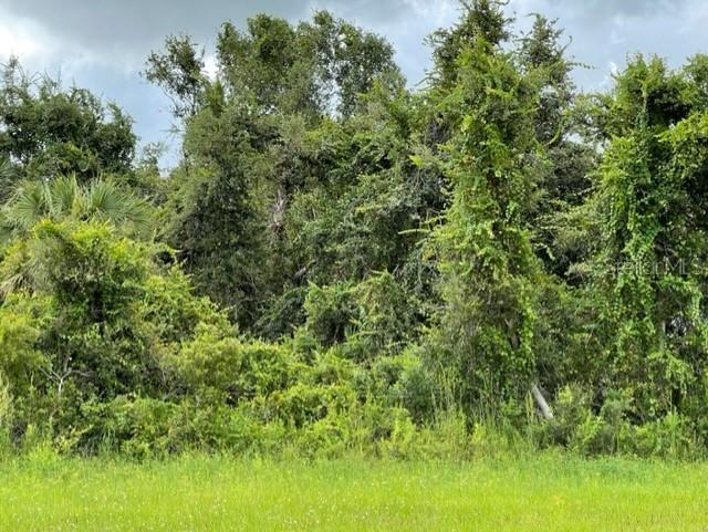 N Chamberlain Blvd., North Port, FL 34286