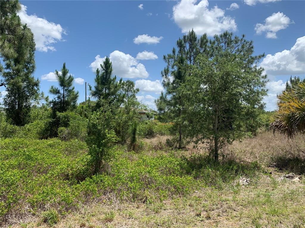 607 Eisenhower Blvd., Lehigh Acres, FL 33974