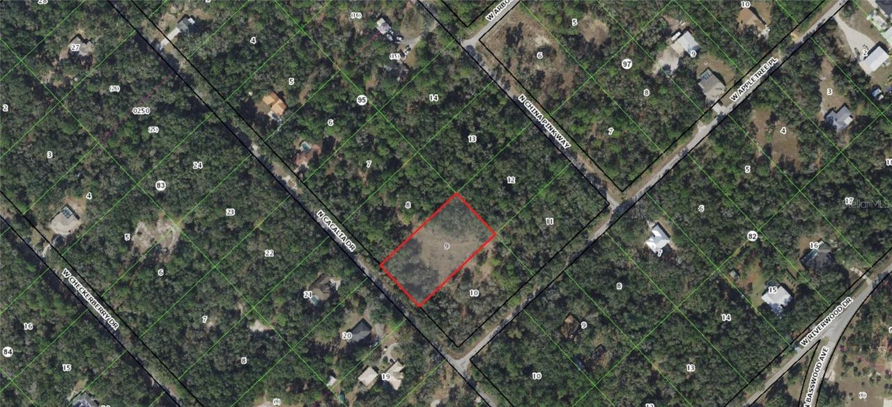 9079 N Cacalia Dr., Crystal River, FL 34428