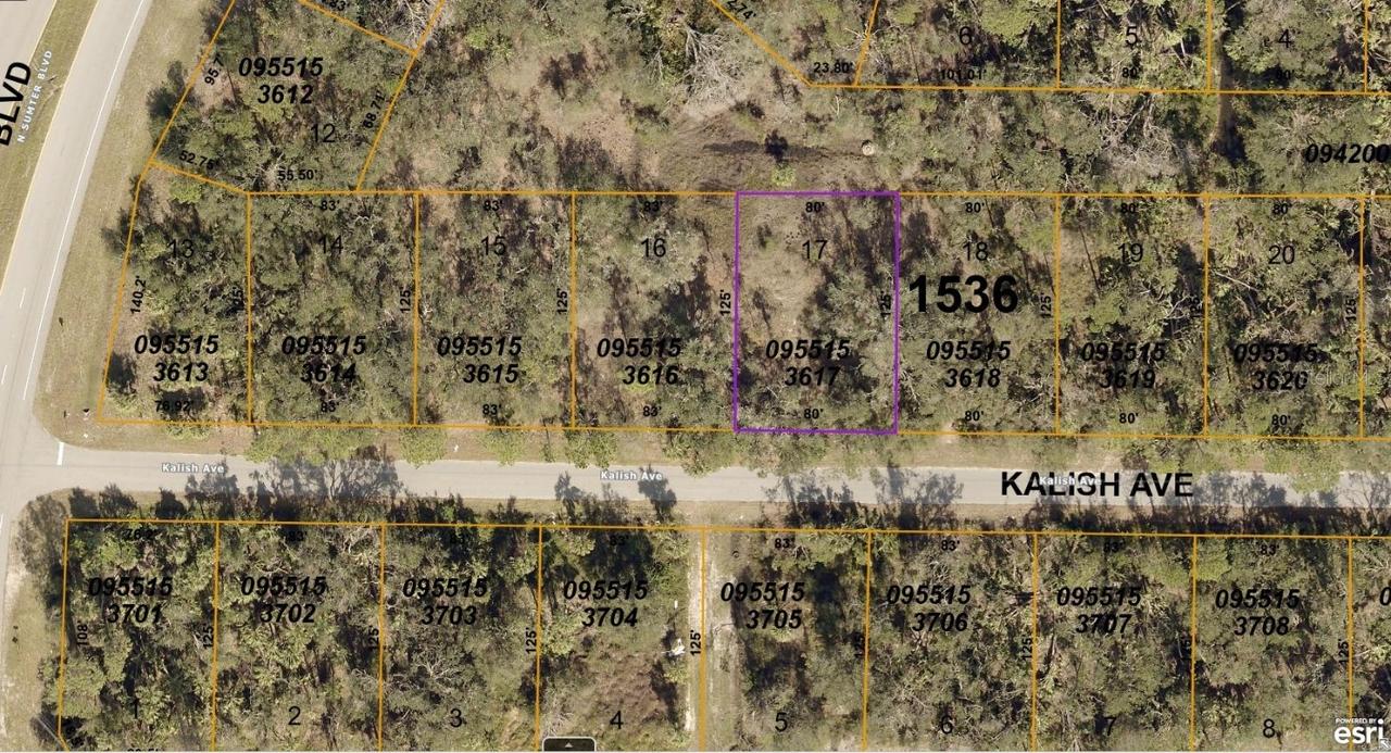 0955153617 Kalish Ave., North Port, FL 34286