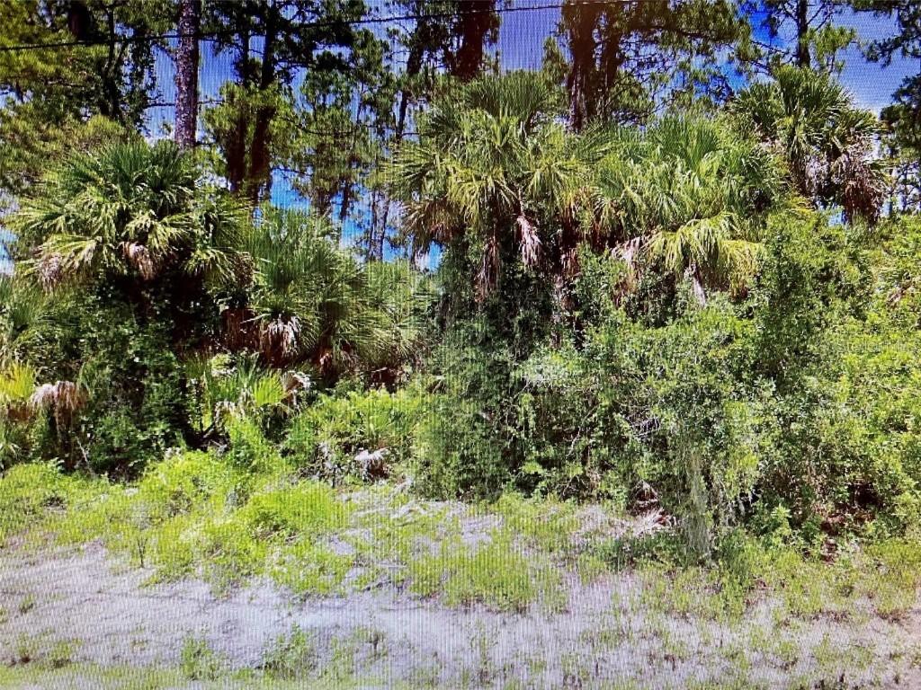 Sadnet Ln., North Port, FL 34286