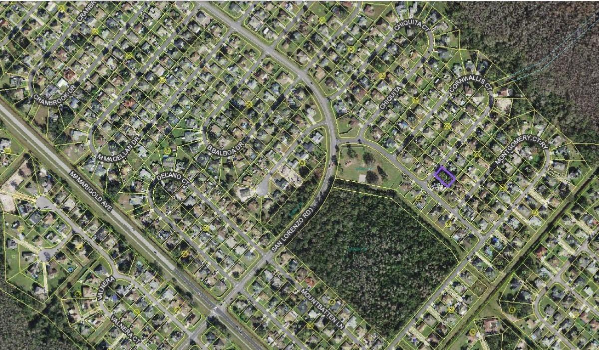 304 Cornwallis Ct., Kissimmee, FL 34758