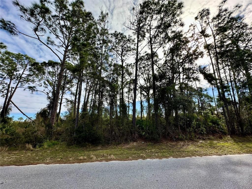 Log Cabin Rd., North Port, FL 34291