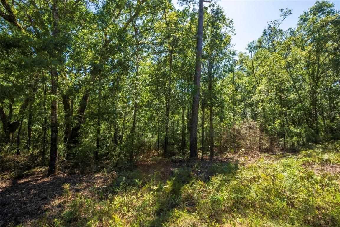 375 NE West Peppermint Tr., Pinetta, FL 32350