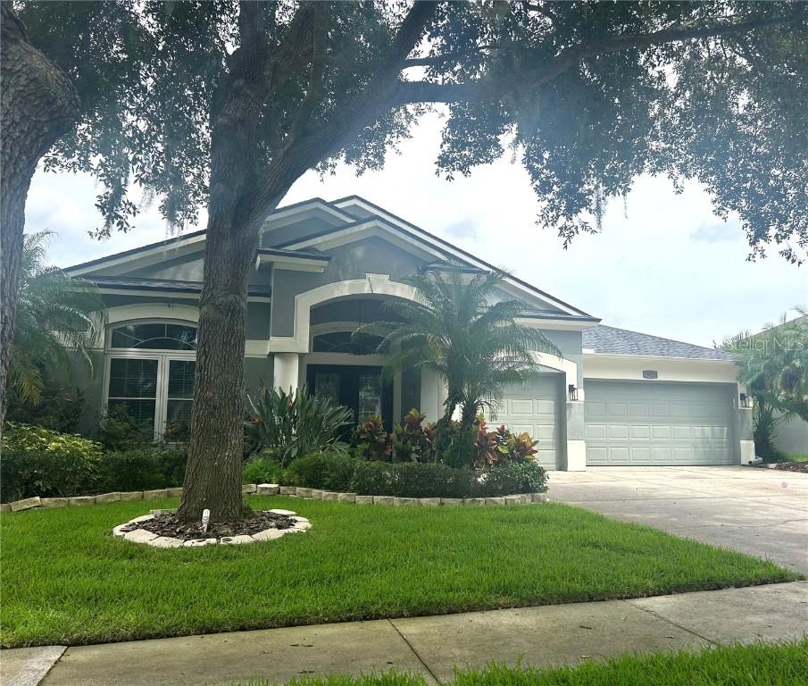 19025 Fern Meadow Loop, Lutz, FL 33558