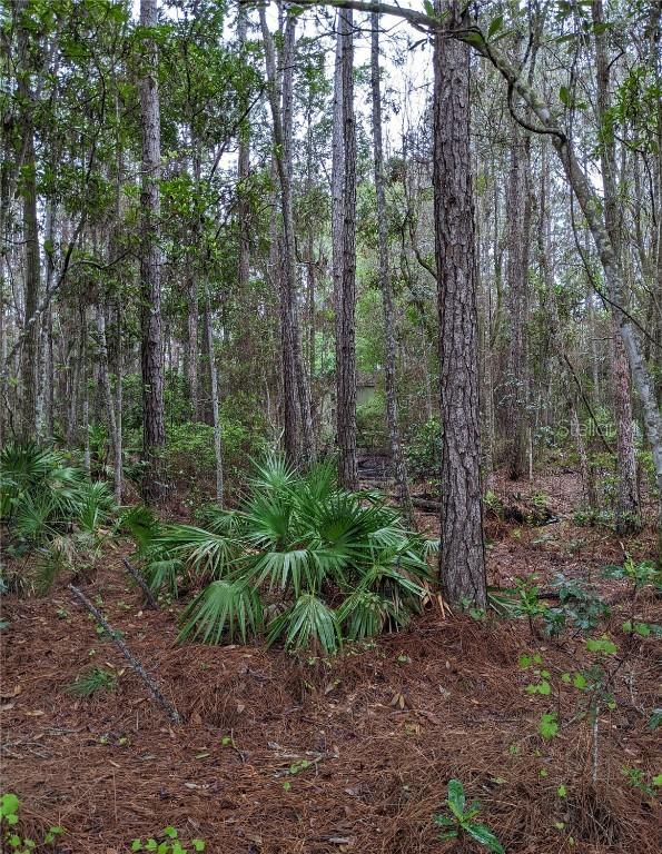 TBD NE 220 St., Fort Mc Coy, FL 32134