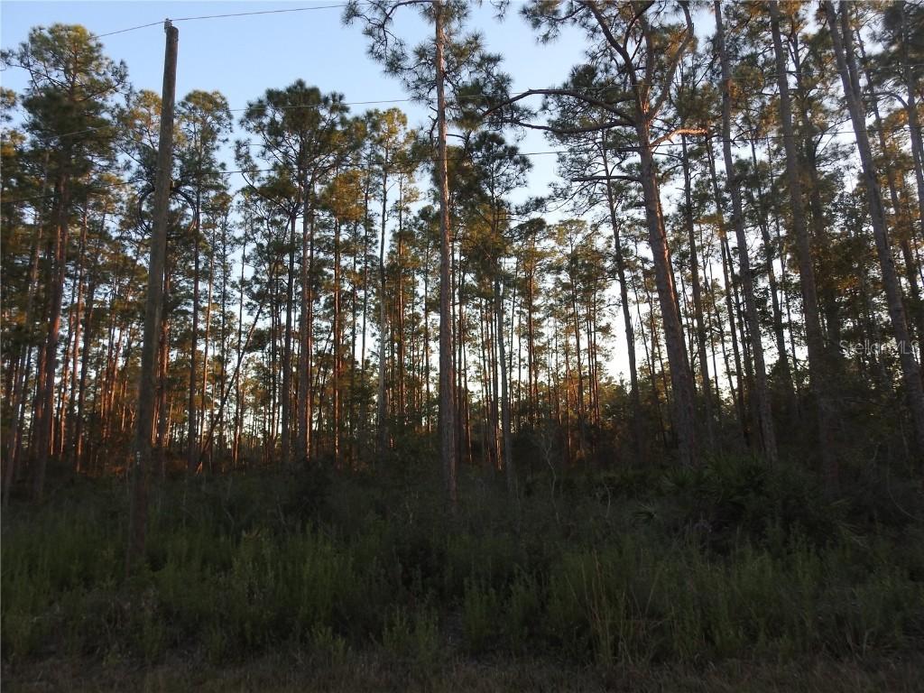 320 Gallardia Dr., Indian Lake Estates, FL 33855