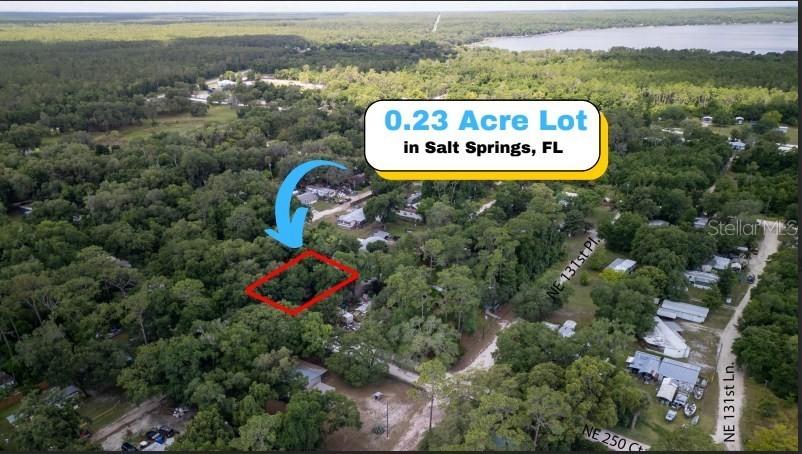 Ne Corner Of Ne 130 Lane And Ne 250 Court, Salt Springs, FL 32134