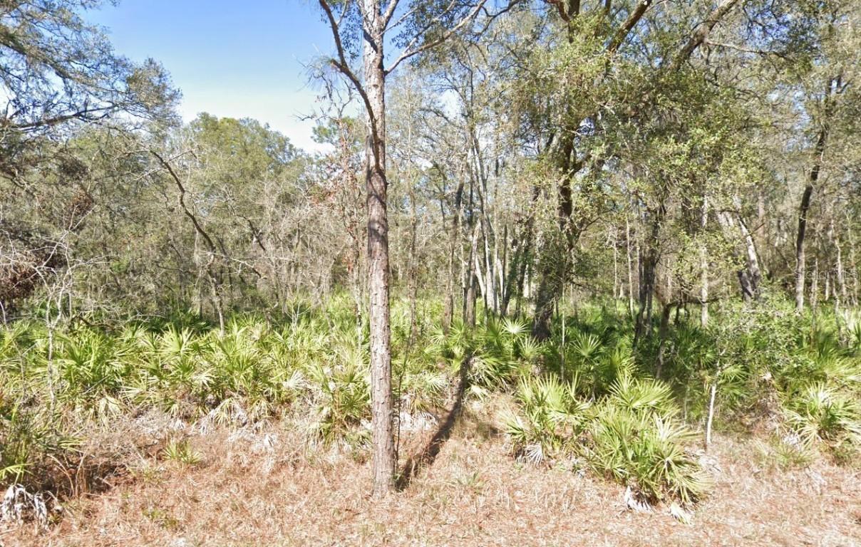 Lot 17 Overcup Dr., Webster, FL 33597