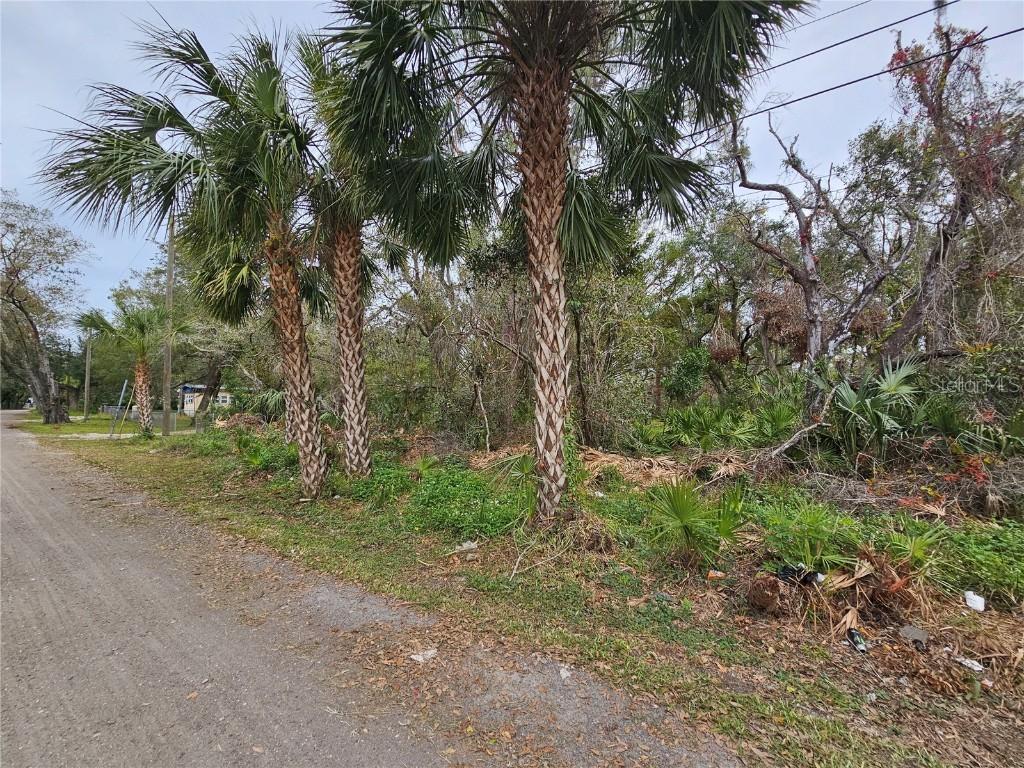 Ince Dr., Ruskin, FL 33570